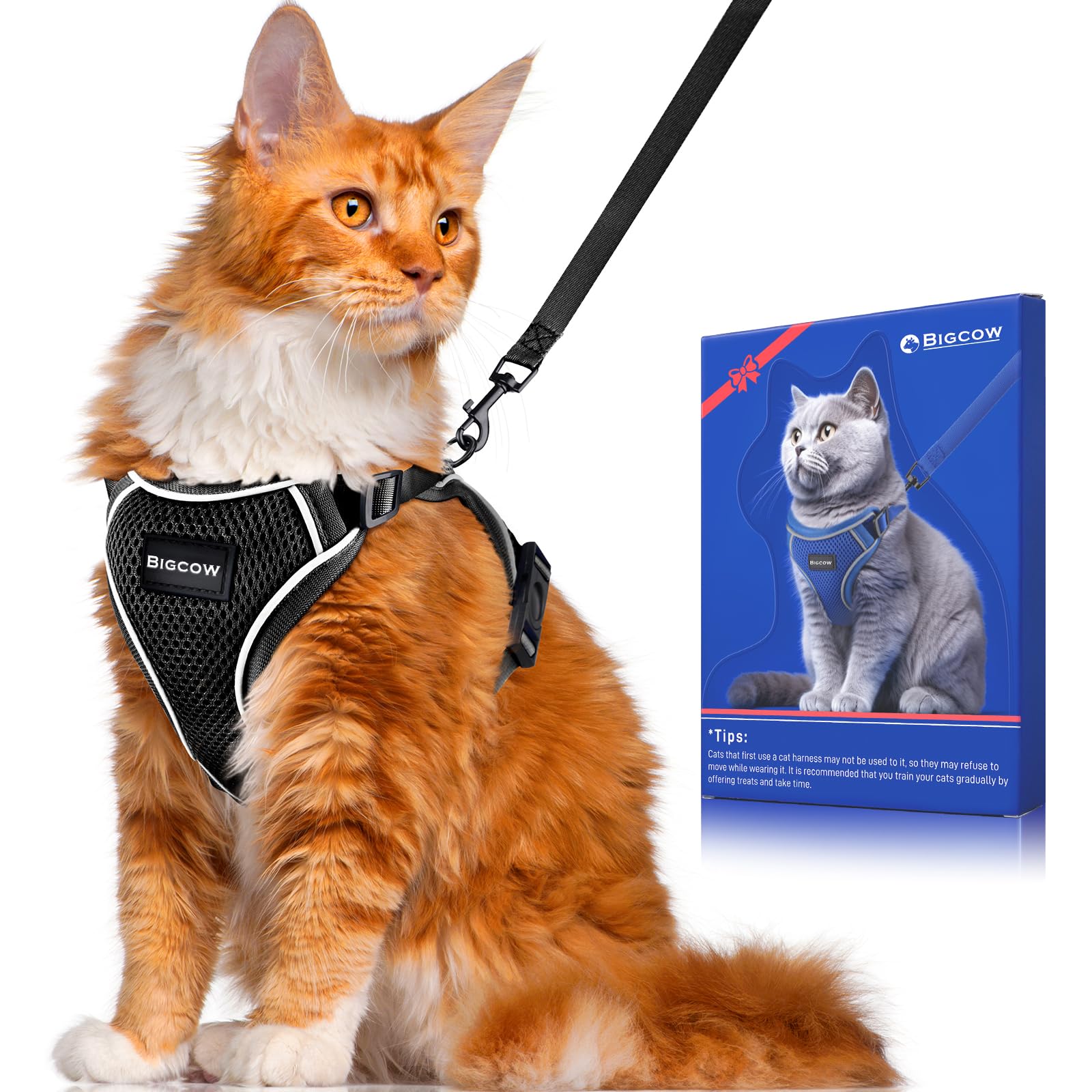 猫 楽天市場】necosekai キャットハーネス ストライプ【猫用品